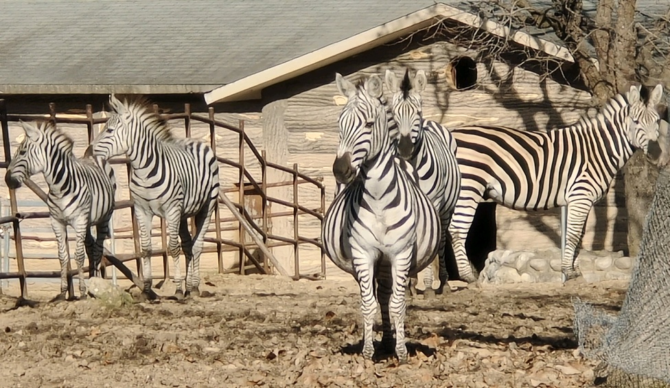 “秦嶺生態旅游季·美好西旅 詩畫秦嶺” 暨秦嶺野生動物園媒體行活動成功舉辦