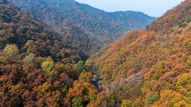 “瞰見秦嶺 詩畫終南”媒體景區行活動 邂逅南五臺秋韻