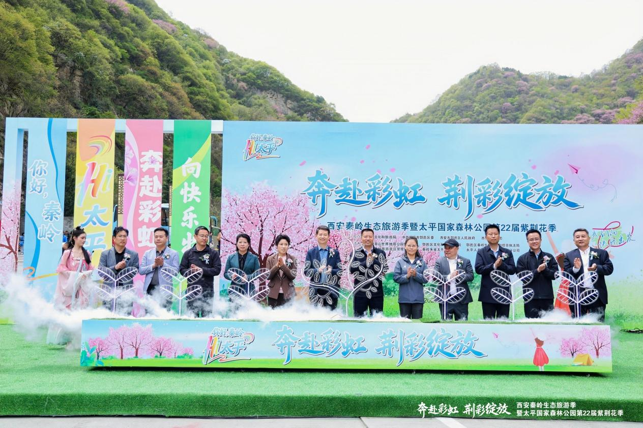 四大亮點板塊賦能“生態+文旅”融合 太平國家森林公園第二十二屆紫荊花季啟幕
